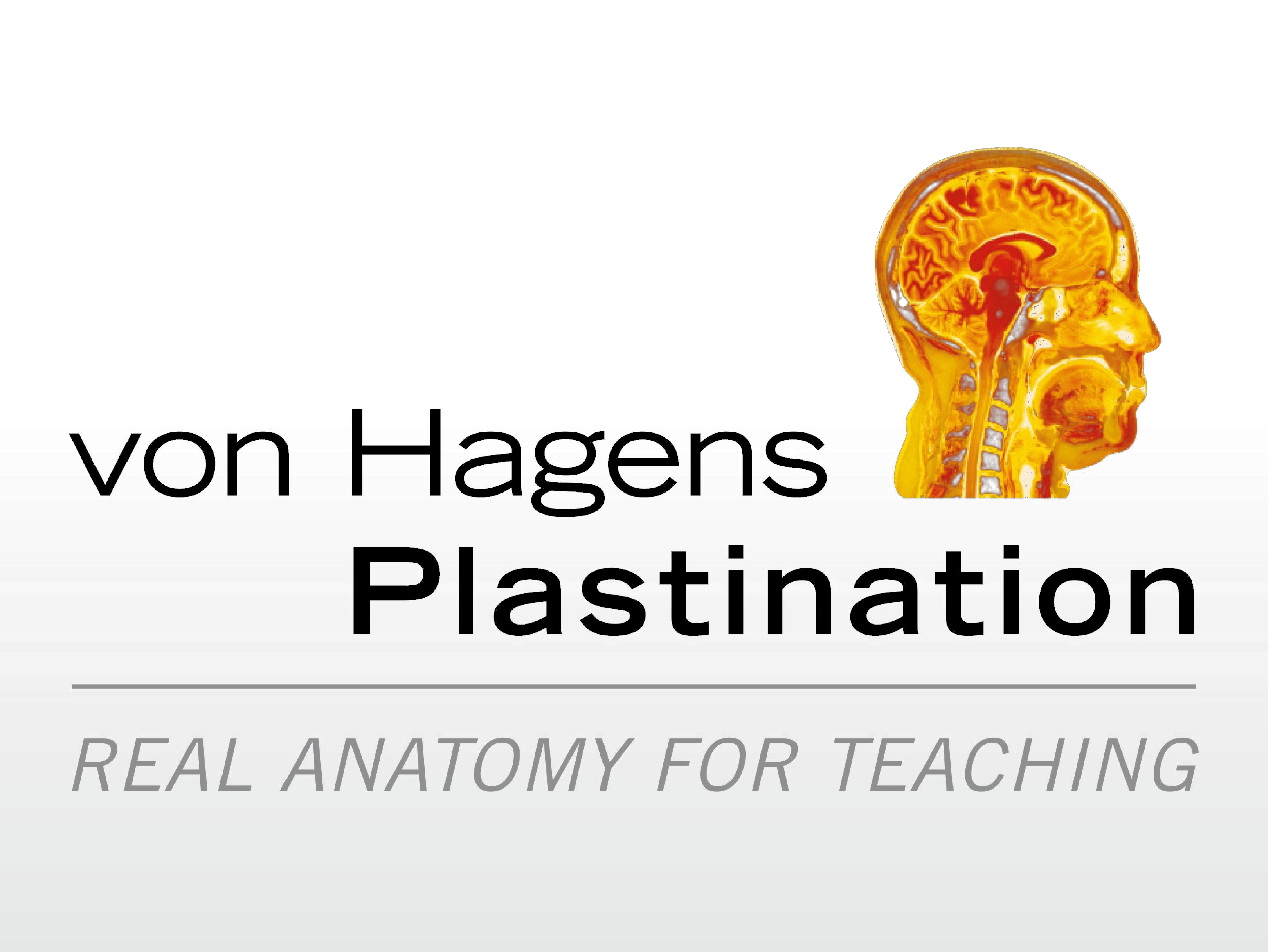 Von Hagens Plastination: Real Anatomy for Teaching
